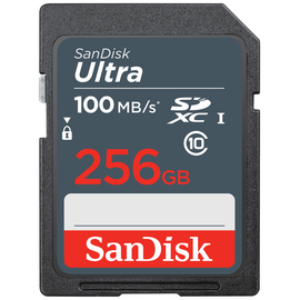  Карта памяти SanDisk 256GB SDSDUNR-256G-GN3IN 