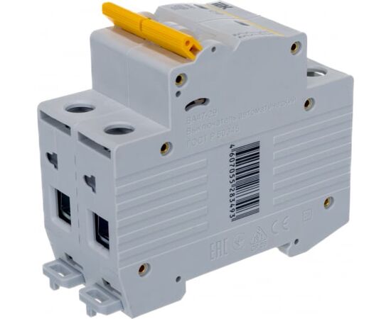  Выключатель автоматический IEK ВА47-29 (MVA20-2-010-C) модульный 2п C 10А 4.5кА 